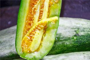 网红张奕凡吃瓜,揭秘娱乐圈幕后真相 第2张 网红张奕凡吃瓜,揭秘娱乐圈幕后真相 第2张