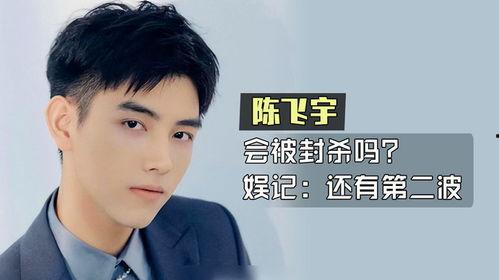 陈飞宇爆料者是谁呀视频,揭秘背后真相  第3张